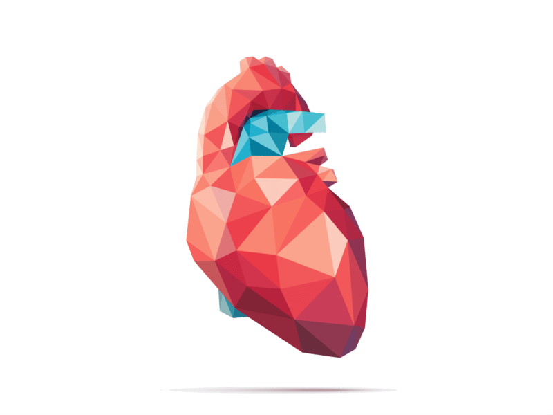 Cardiologische Keuring CBR